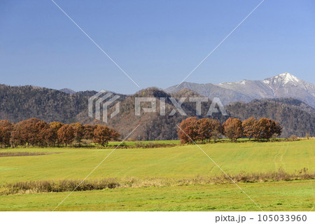 秋の十勝の紅葉風景 秋の十勝の紅葉風景 105033960