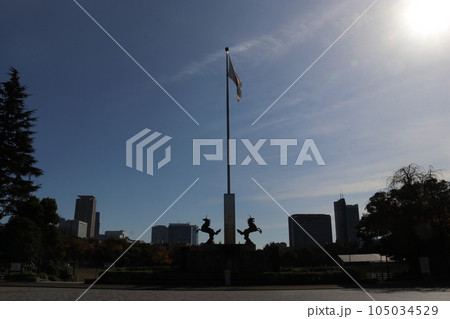 明治神宮外苑 明治神宮外苑 105034529