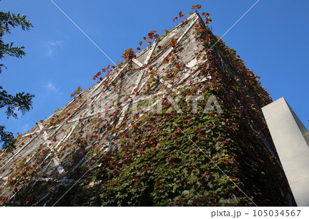 東京23区の街並み 105034567