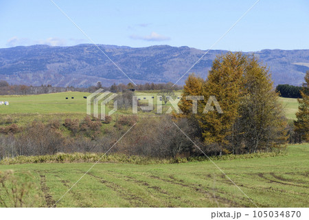 北海道足寄　秋の牧場風景 105034870