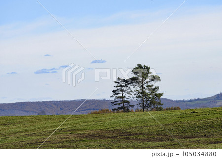 北海道足寄　秋の牧場風景 105034880