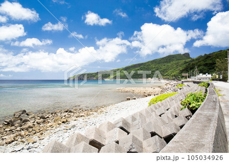 海へ続く道 やんばるの風景 海へ続く道 やんばるの風景 105034926