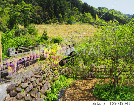 福岡県豊前市の山間にある轟フジ農村公園 福岡県豊前市の山間にある轟フジ農村公園 105035047