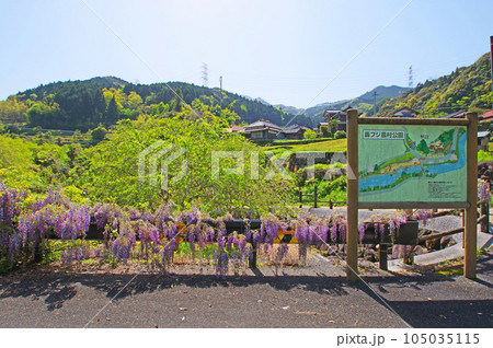 福岡県豊前市の山間にある轟フジ農村公園 福岡県豊前市の山間にある轟フジ農村公園 105035115