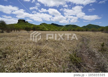 榛名高原　スルス岩付近のゆうすげの道からスルス岩方面を見る　　2023年5月24日 105035505