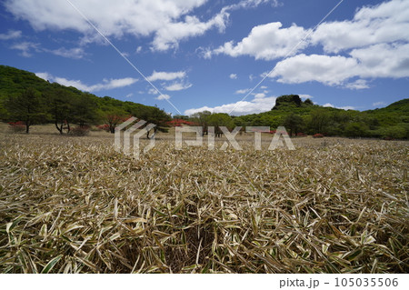 榛名高原　スルス岩付近のゆうすげの道からスルス岩方面を見る　　2023年5月24日 105035506