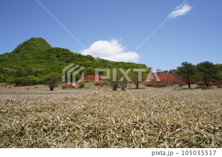 榛名高原 スルス岩付近のゆうすげの道から相馬ケ岳方面を見る 2023年5月24日 榛名高原 スルス岩付近のゆうすげの道から相馬ケ岳方面を見る 2023年5月24日 105035517