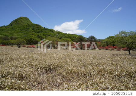 榛名高原　スルス岩付近のゆうすげの道から相馬ケ岳方面を見る　　2023年5月24日 105035518