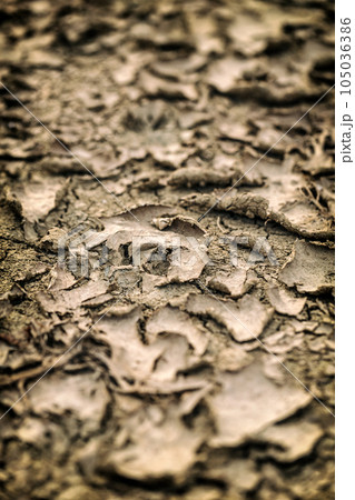 Crack ground drought Crack ground drought 105036386