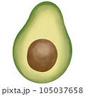 Drawing of avocado isolated on transparent background for usage as an illustration, food, fruits and eating concept 105037658