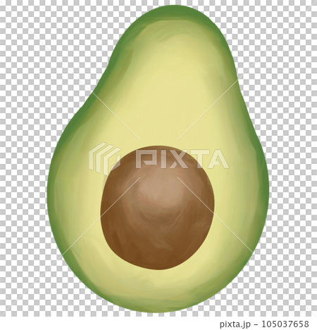 Drawing of avocado isolated on transparent background for usage as an illustration, food, fruits and eating concept 105037658