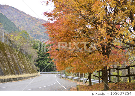 西美濃もみじ街道 105037854