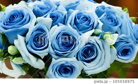 青いバラの花束 記念日のイメージ 青いバラの花束 記念日のイメージ 105038975