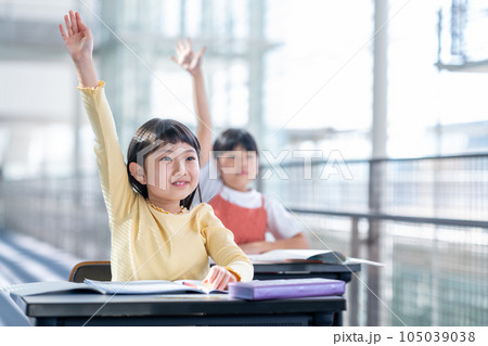 勉強をする小学生 勉強をする小学生 105039038