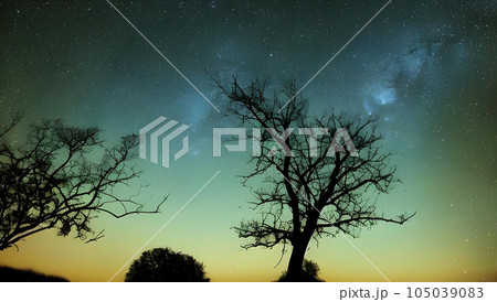 幻想的な星空と木のシルエットの風景 105039083