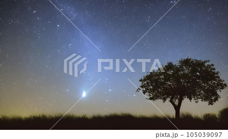 幻想的な星空と木のシルエットの風景 105039097
