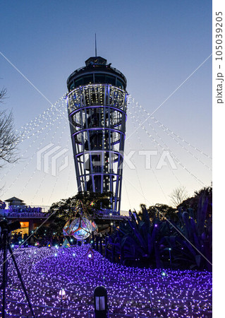 江ノ島シーキャンドルのイルミネーション 105039205