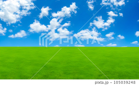 爽やかな青空と新緑芽吹く草原の風景 105039248