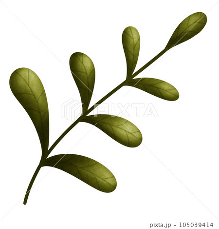 Cozy autumn green leaf branch 105039414