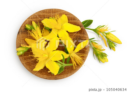 saint john's wort or Hypericum flowers in wooden bowl isolated on white background. Top view. Flat lay saint john's wort or Hypericum flowers in wooden bowl isolated on white background. Top view. Flat lay 105040634