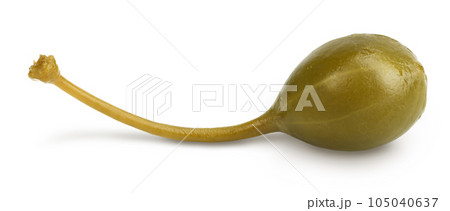 Capers isolated on white background. Pickled or canned capers. 105040637