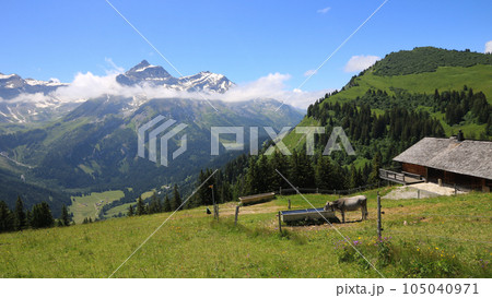 Idyllic mountain landscape near Gstaad, Switzerland. 105040971