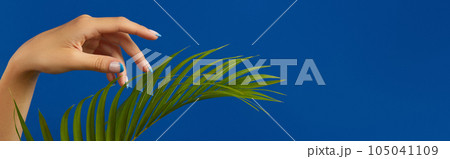 Manicured womans hands with palm leaf on blue background 105041109