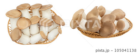 King Oyster mushroom or Eringi in wicker basket isolated on white background. Top view. Flat lay King Oyster mushroom or Eringi in wicker basket isolated on white background. Top view. Flat lay 105041138