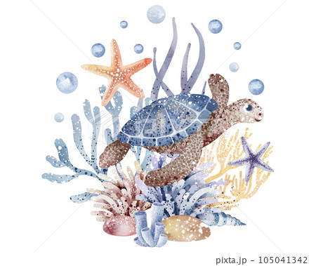 The composition of marine animals. Blue watercolor sea fish, turtle, whale and coral. Nautical illustration of nautical, jellyfish, starfish The composition of marine animals. Blue watercolor sea fish, turtle, whale and coral. Nautical illustration of nautical, jellyfish, starfish 105041342