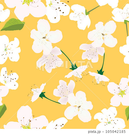 Seamless pattern with white flowers and yellow background for prints; Seamless pattern with white flowers and yellow background for prints; 105042185