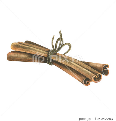 Cinnamon sticks tied with a jute rope with a bow. Watercolor illustration, hand drawn. Isolated object on a white background. 105042203