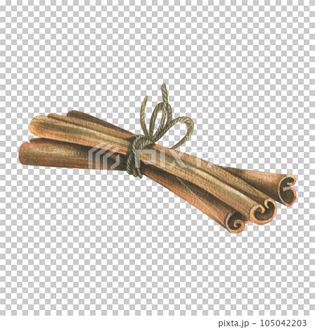 Cinnamon sticks tied with a jute rope with a bow. Watercolor illustration, hand drawn. Isolated object on a white background. 105042203