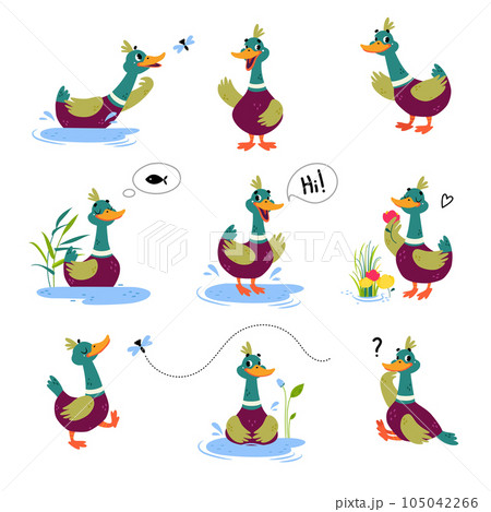 Funny Dabbling Duck Character Engaged in Different Activity Vector Set 105042266