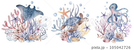 Marine watercolor illustrations of seahorses, starfish, crabs, corals, algae, shells, bubbles. Isolated on white background. Marine watercolor illustrations of seahorses, starfish, crabs, corals, algae, shells, bubbles. Isolated on white background. 105042726