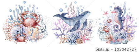 Marine watercolor illustrations of seahorses, starfish, crabs, corals, algae, shells, bubbles. Isolated on white background. Marine watercolor illustrations of seahorses, starfish, crabs, corals, algae, shells, bubbles. Isolated on white background. 105042727