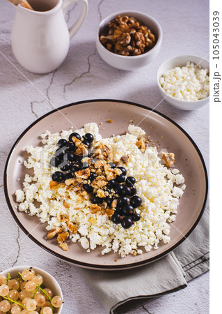 Homemade cottage cheese with fresh blackcurrants and walnuts on a plate vertical view Homemade cottage cheese with fresh blackcurrants and walnuts on a plate vertical view 105043039