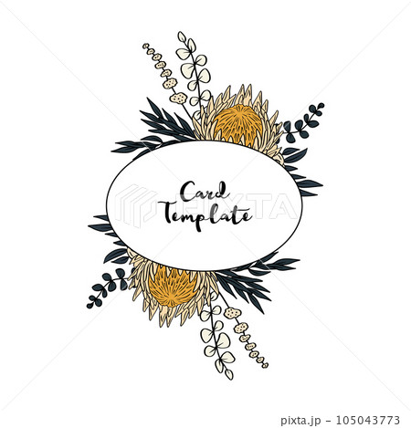 Hand drawn colorful line art tropical protea flower horizontal oval frame Hand drawn colorful line art tropical protea flower horizontal oval frame 105043773