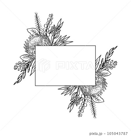 Hand drawn monochrome line art protea flower tropical rectangle horizontal frame 105043787
