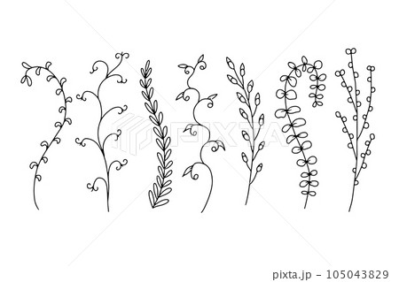 Hand drawn wild flowers illustrations set isolated on white background 105043829
