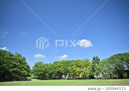 夏空の下、多摩丘陵の広い公園 夏空の下、多摩丘陵の広い公園 105044113