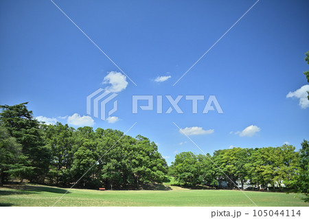夏空の下、多摩丘陵の広い公園 105044114