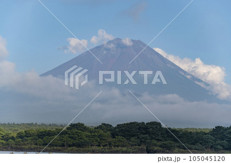 富士五湖の一つ精進湖から見る夏の富士山 105045120