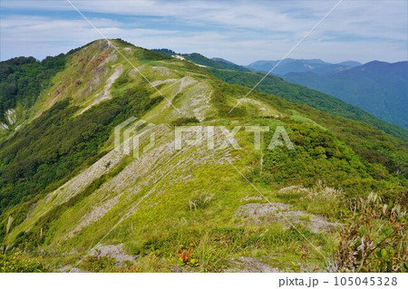 金北山の真砂の峰への稜線 105045328