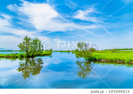 新潟 福島潟 新潟 福島潟 105046815