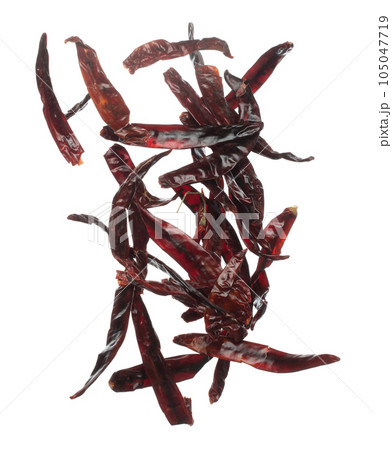 Dried Red hot Chilli fall down explosion, dried Red Chilli float explode, abstract cloud fly. Dried Red hot Chillis splash throwing in Air. White background Isolated high speed shutter, freeze motion Dried Red hot Chilli fall down explosion, dried Red Chilli float explode, abstract cloud fly. Dried Red hot Chillis splash throwing in Air. White background Isolated high speed shutter, freeze motion 105047719