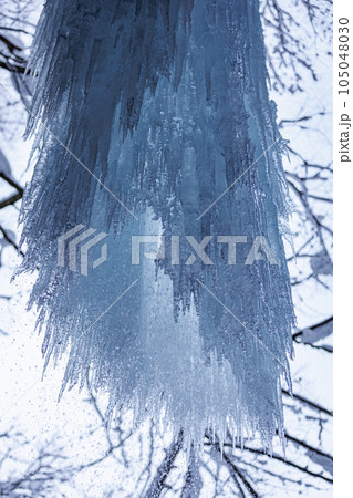 完全凍結前の乳穂ヶ滝 の氷柱の中(青森県西目屋村)2023年 完全凍結前の乳穂ヶ滝 の氷柱の中(青森県西目屋村)2023年 105048030