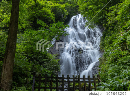 山形県　酒田市　開運出世の滝 105048292
