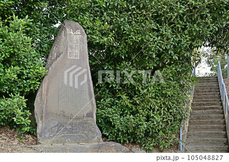 古江宮田合殿社 埼玉県羽生市 古江宮田合殿社 埼玉県羽生市 105048827