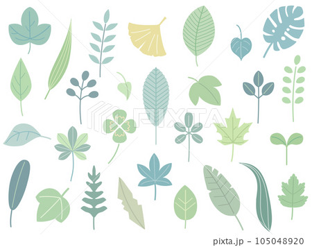 クローバーや銀杏などのナチュラルな葉っぱのイラストのセット 淡い色バージョン クローバーや銀杏などのナチュラルな葉っぱのイラストのセット 淡い色バージョン 105048920