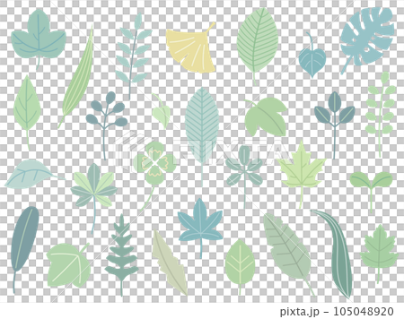 クローバーや銀杏などのナチュラルな葉っぱのイラストのセット 淡い色バージョン クローバーや銀杏などのナチュラルな葉っぱのイラストのセット 淡い色バージョン 105048920